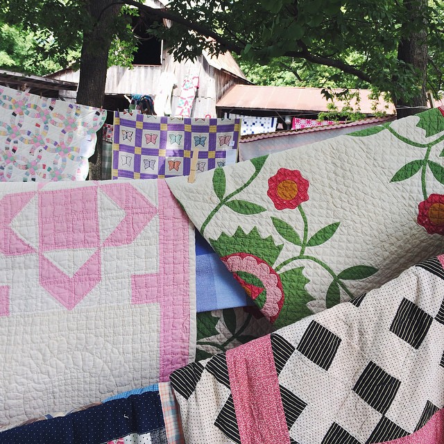 The Ozark Quilt Fair was amazing this year! They even debuted the Itty Bitty Quilt Committee quilts, which was a collection of tiny quilts on display! There were so many things going on in Springdale today. Did you guys find anything fun to do?