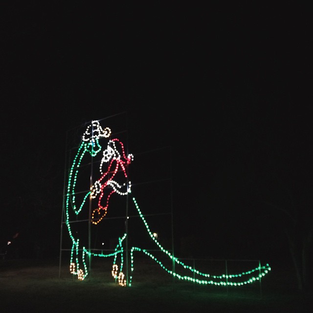 Have you been by Murphy Park lately to see the exciting Christmas lights?! These oversized, animated lights are an excellent family activity! I mean, where else can you watch a gingerbread man do cartwheels and see Santa riding on a dinosaur? #teamspringdale