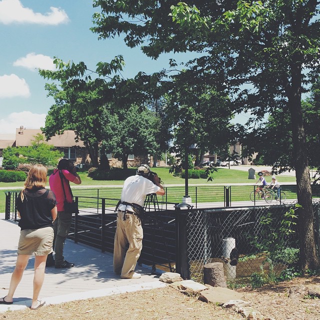 Just spotted @nwatrails showing off the boardwalk along the Razorback Greenway to a PBS travel show.