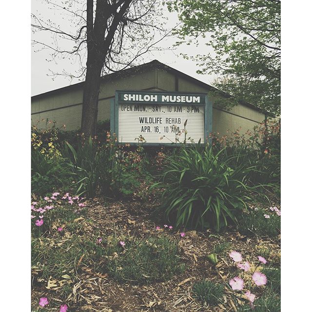 Hello Spring!! There's so much growing & blossoming everywhere!  If you're always picking up stray animals in need, this is for you...The @shilohmuseum is hosting an event, "Wildlife Rehab" April 16th at 10am.#?