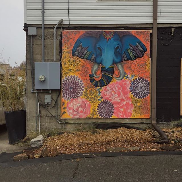 Hi friends! It's been awhile, but we spotted this handsome new work of art in @downtownspringdale this morning and felt inspired to share it with you! Stop by @organiccreationsnwa and check out this lovely painting by @the_artist_annushka!  #teamspringdale #springdalestreetart