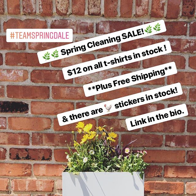 SPRING SALE $12 T-Shirts until there gone️FREE SHIPPING🐓stickers in stock